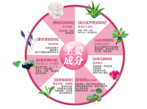 纽如兰牛奶舒柔洁面霜