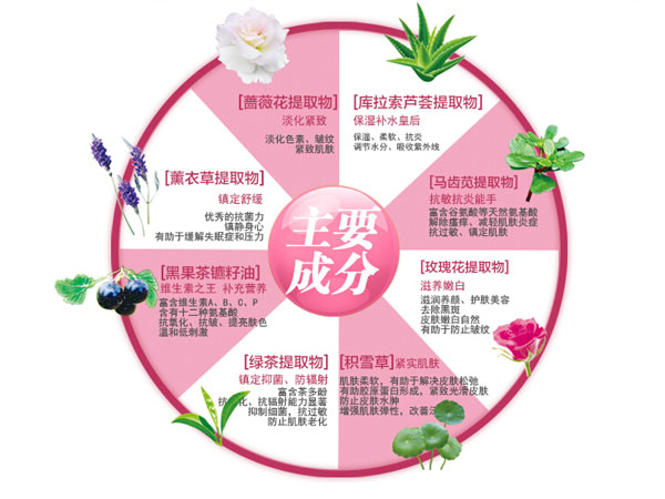 纽如兰牛奶水嫩舒缓BB霜
