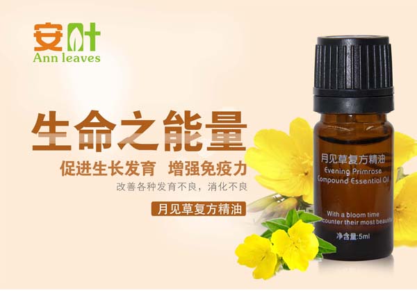 安叶月见草复方精油  