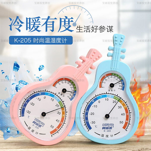 柯丽雅两用室内温温度计主图