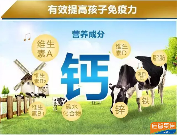 钙的作用.jpg