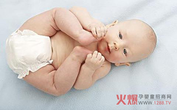 纸尿裤.jpg