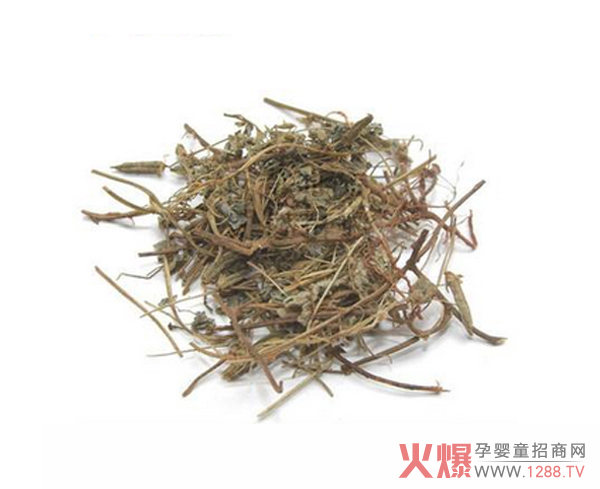老鹤草.jpg