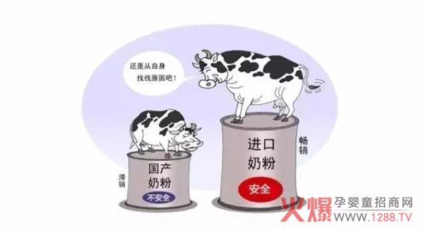 国产奶粉安全性.jpg