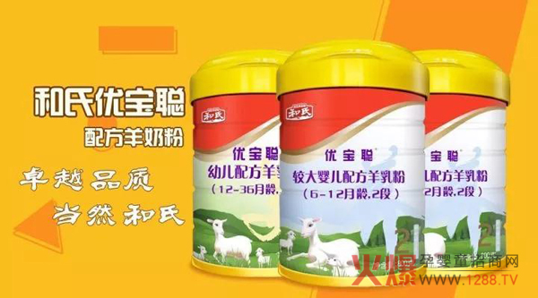 和氏优宝聪.jpg