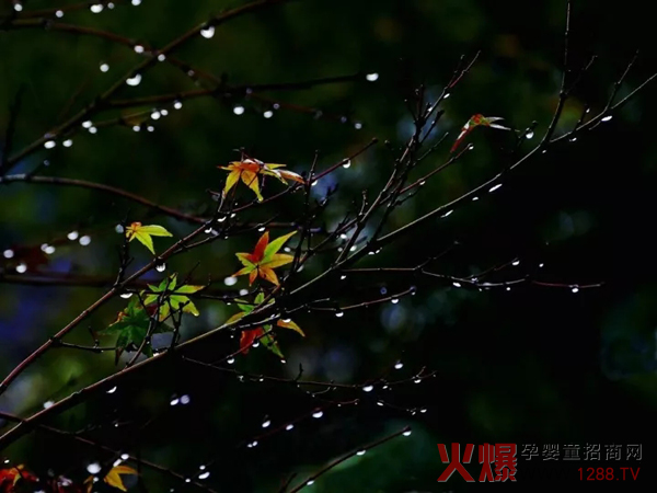 一场秋雨一场凉，开始大降温了.jpg