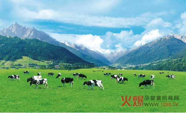 南山奶粉奶源.jpg