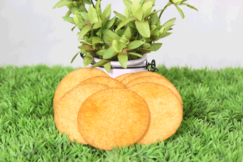 比逗仕土豆泥博饼干.png