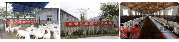 乐立滋企业.jpg