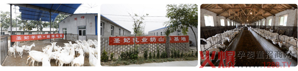 乐立滋养殖基地.jpg
