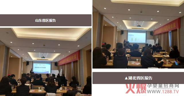 山东、湖北省区报告.jpg