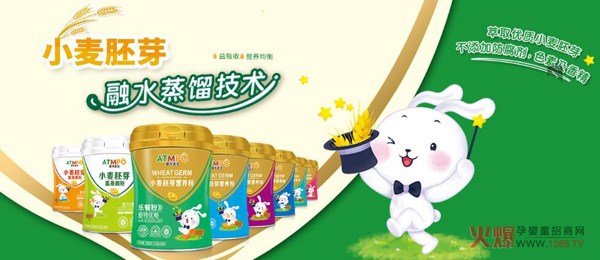 爱特麦宝小麦胚芽营养粉.jpg