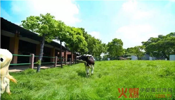 美丽健集团田园牧歌重点项目.jpg