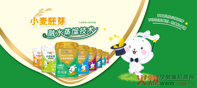 爱特麦宝领先技术.jpg