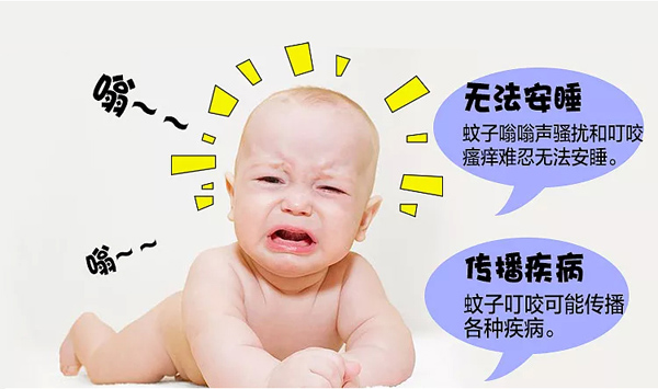 简迪舒非洲叮叮艾叶清凉喷雾详情页_02.jpg