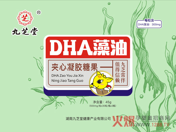 九芝堂DHA藻油.jpg