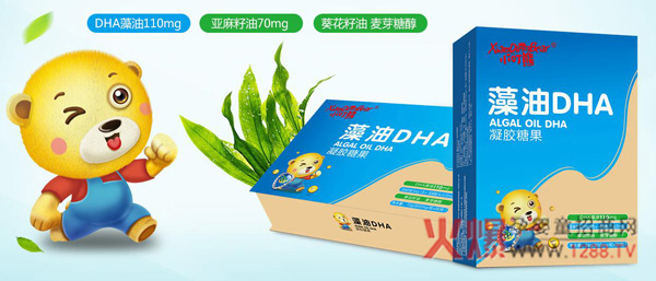 小叮熊藻油DHA.jpg