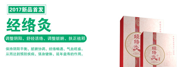 经络灸.jpg