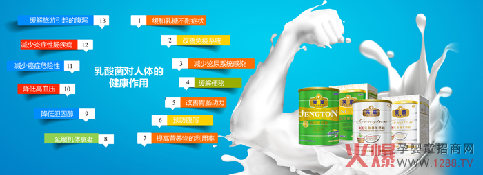 英童乳业乳酸菌奶粉的优势.jpg