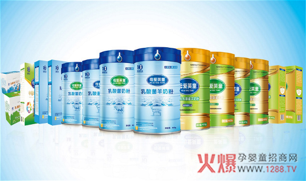 母爱英童乳酸菌奶粉1.jpg