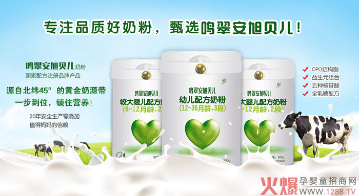鸣翠安旭贝儿奶粉.jpg