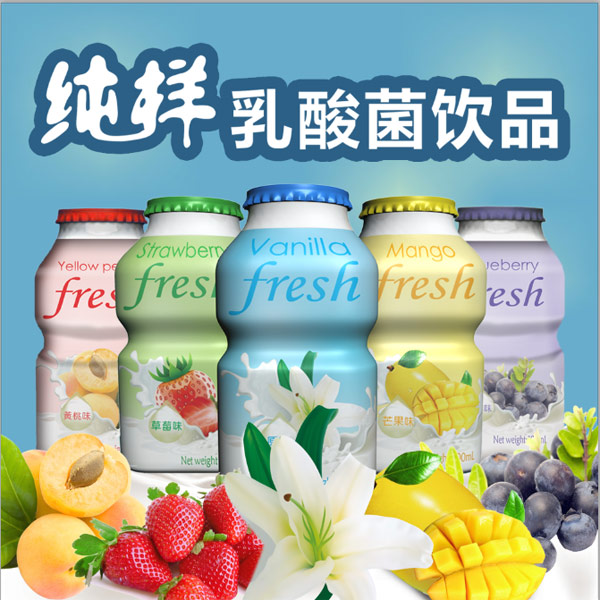 纯样乳酸菌饮品.jpg
