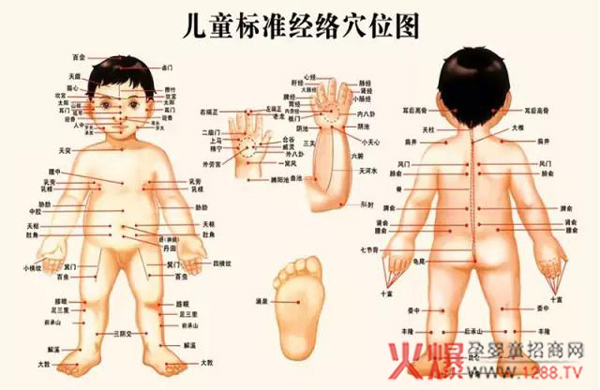 标准经络穴位图.jpg