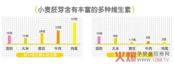 小麦胚芽营养.jpg