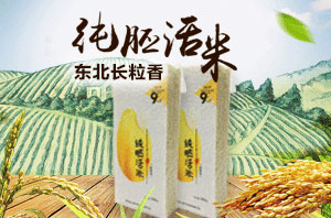 纯胚活米-东北长粒香.jpg
