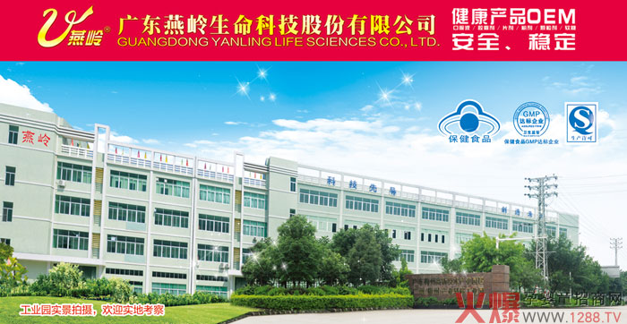 燕岭公司.jpg