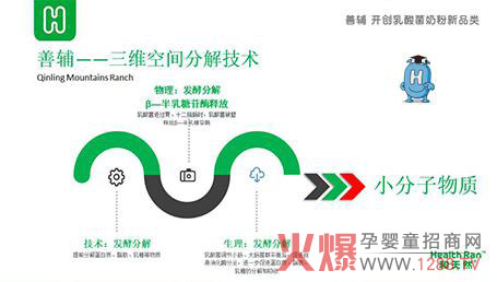 善辅三维空间分解技术.jpg
