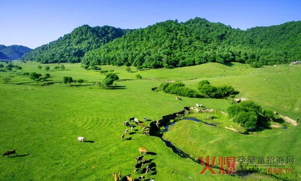 和氏高寒川牧场.jpg