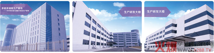 基地.jpg