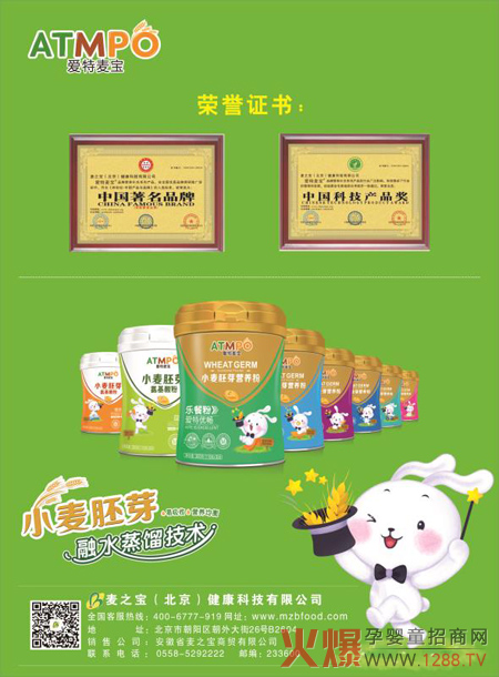 爱特麦宝荣誉证书.jpg