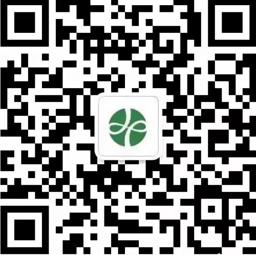 星辉.webp (1).jpg
