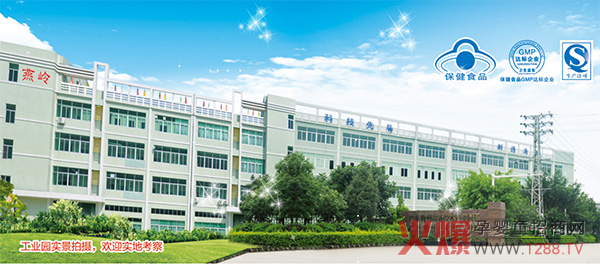 厂区.jpg