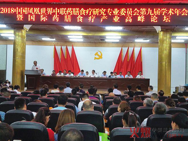 世界中医药学会药膳食疗国际第九届学术年会1.jpg
