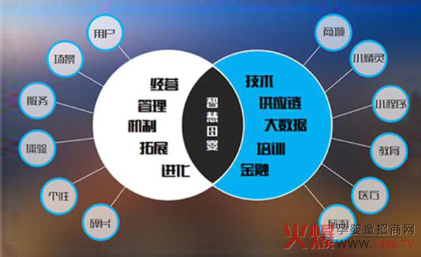 智慧母婴图析.jpg