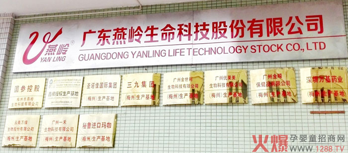 广东燕岭.jpg