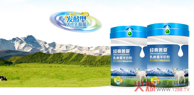 经典善爱乳酸菌羊奶粉介绍.jpg