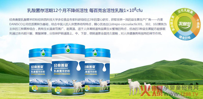 经典善爱乳酸菌羊奶粉图.jpg