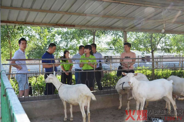 参观生态化奶山羊养殖基地.jpg