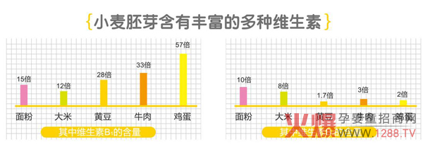 小麦胚芽丰富营养.jpg