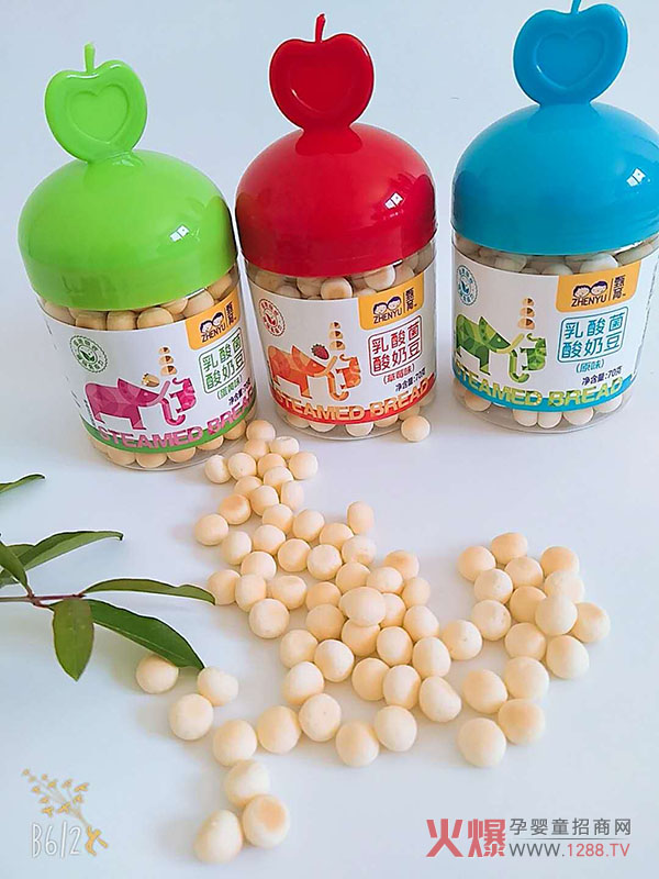 乳酸菌酸奶豆.jpg