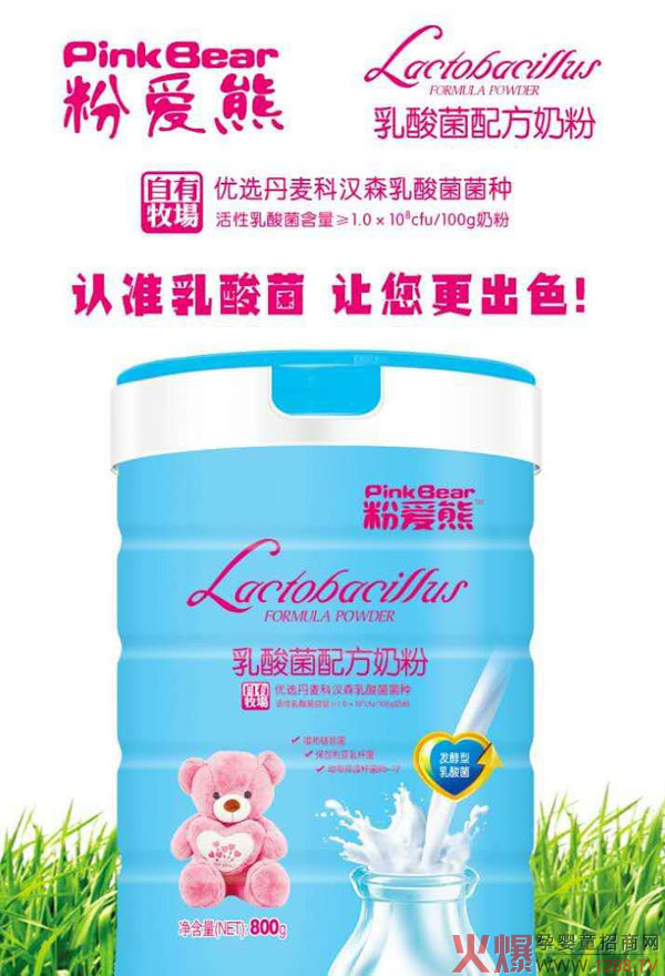 粉爱熊乳酸菌配方奶粉产品介绍.jpg