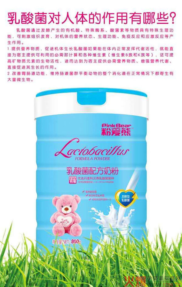 粉爱熊乳酸菌配方奶粉介绍.jpg
