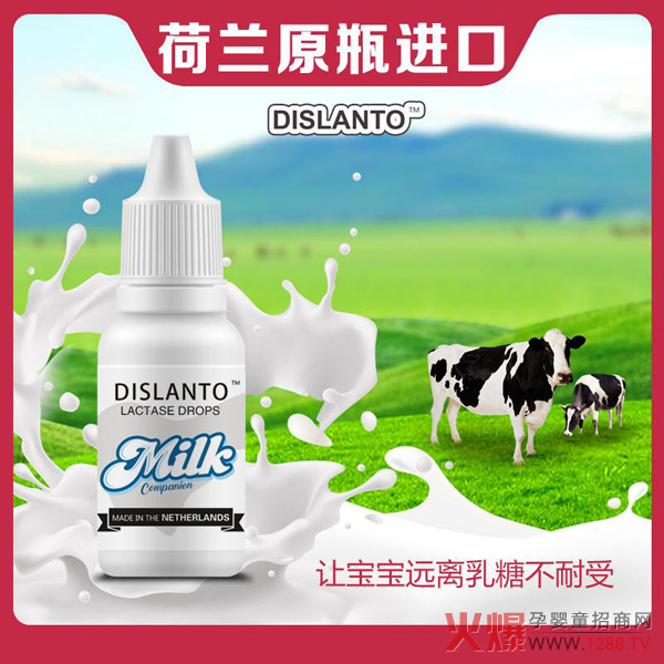 迪适兰托乳糖酶伴侣.jpg