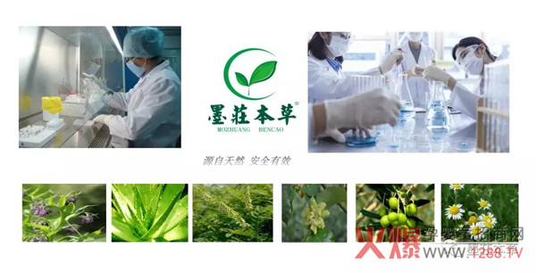 墨擎本草专业技术团队.jpg
