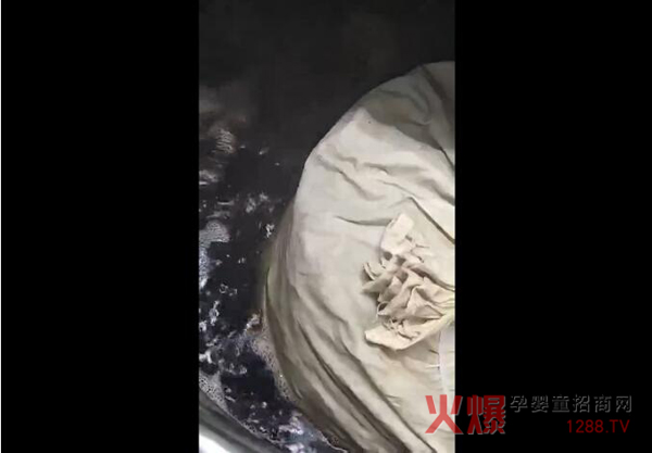 墨擎本草yaowu提取中.jpg