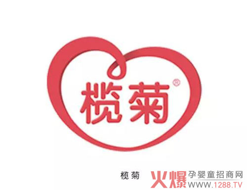 榄菊.jpg